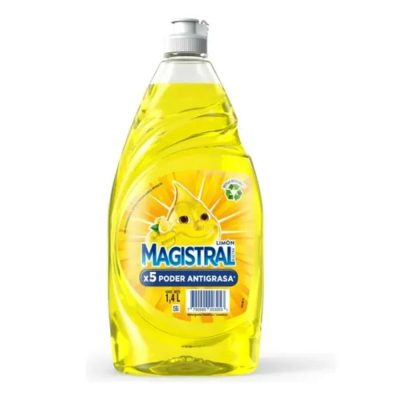 Detergente Magistral 21 X 300